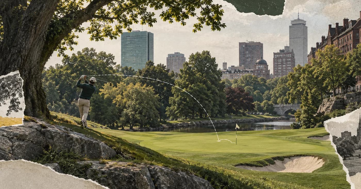 A municipal green tucked between angular city blocks and huge mature trees