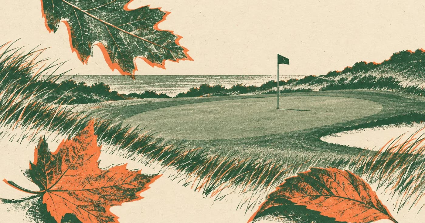 three scattered leaves framing a sharply drawn golf green