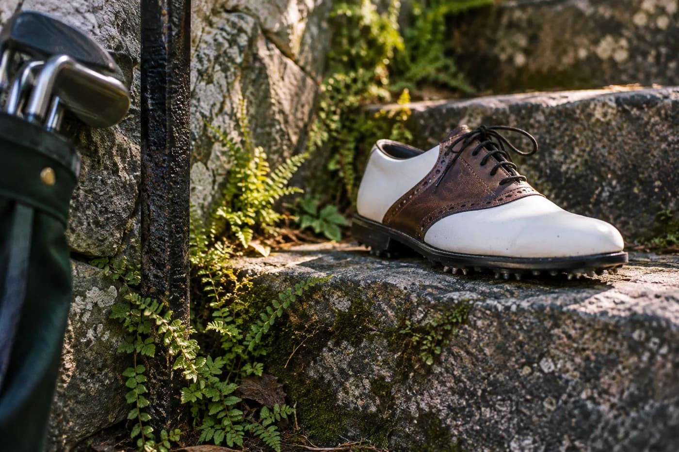 a single golf shoe standing on a coarse stone step with tiny ferns