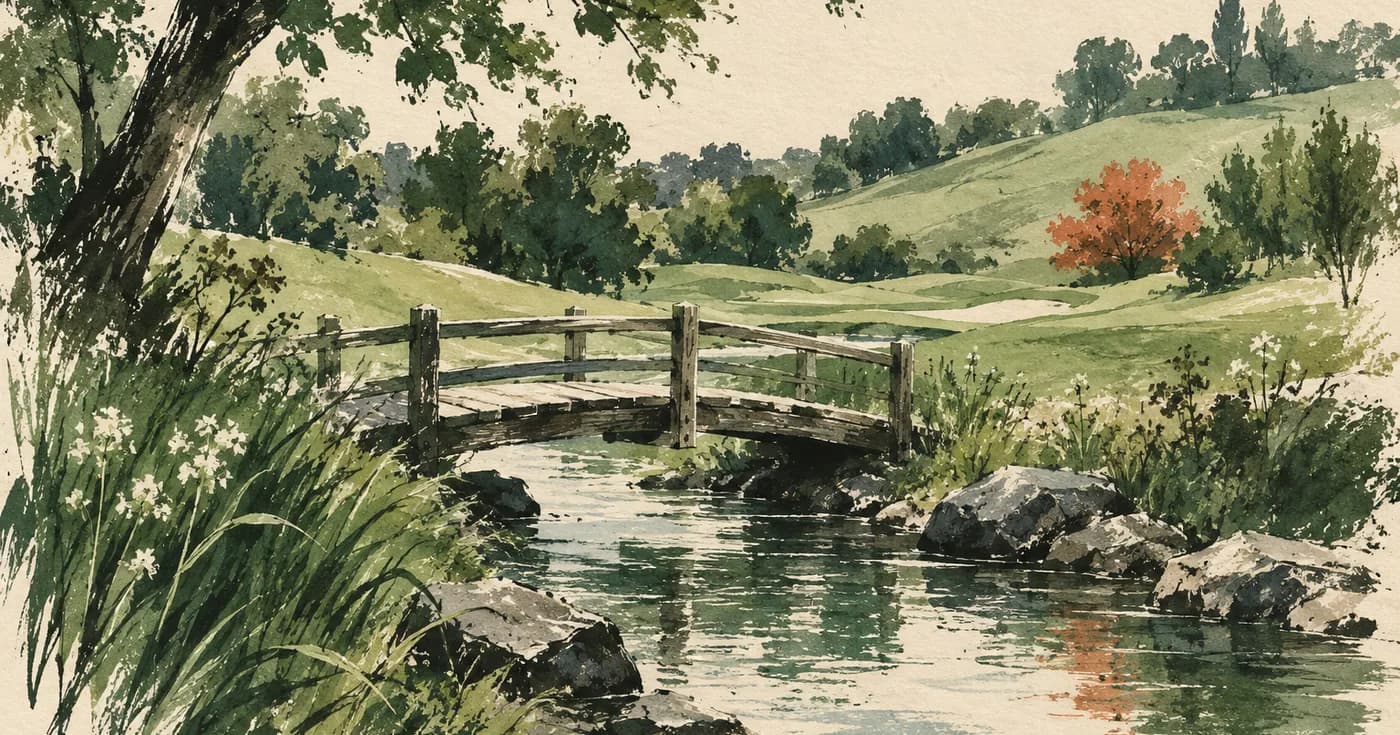 a simple wooden footbridge over a ribbon of water