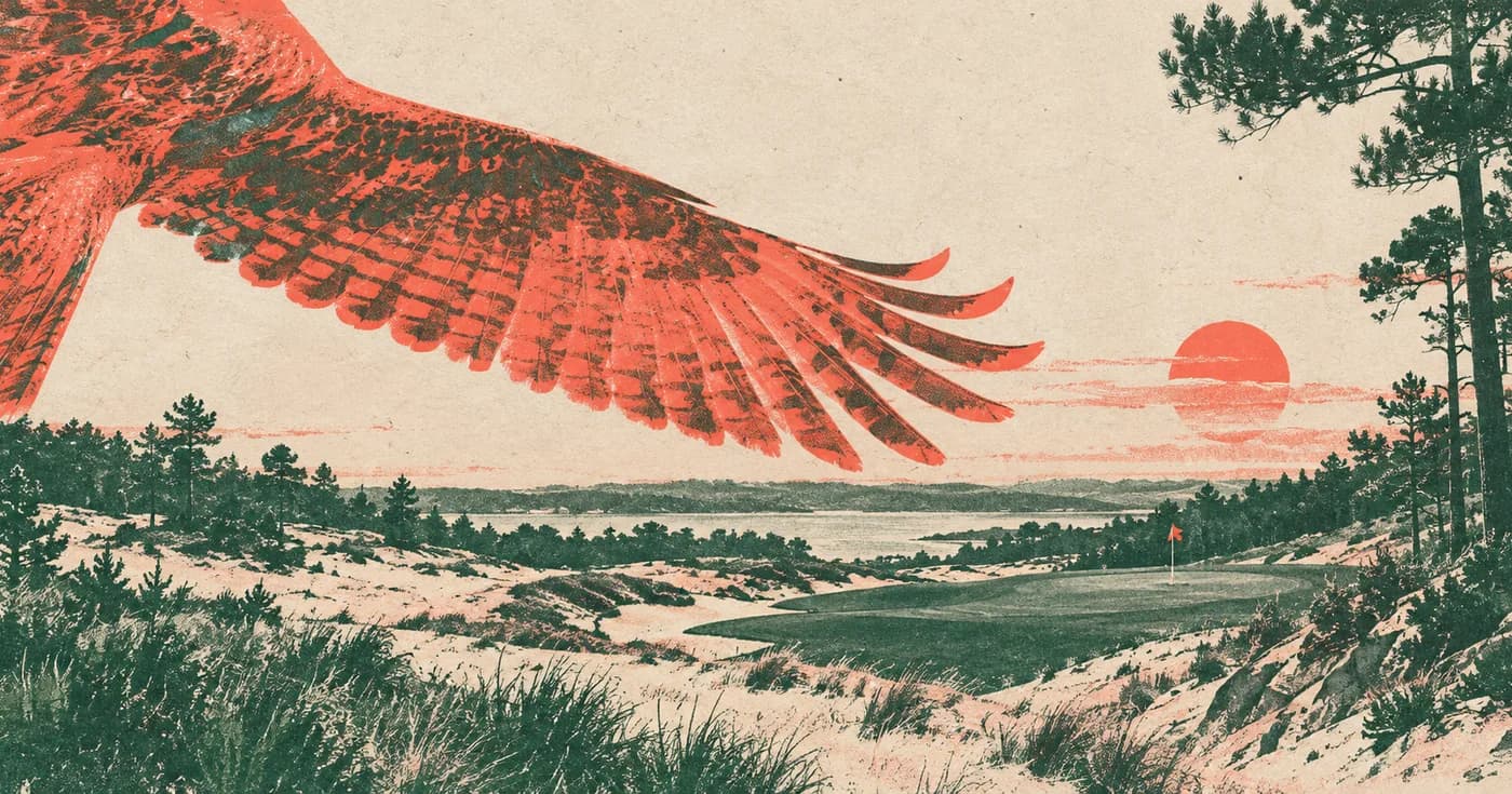 A red hawk wing cutting diagonally across a sandy pine landscape