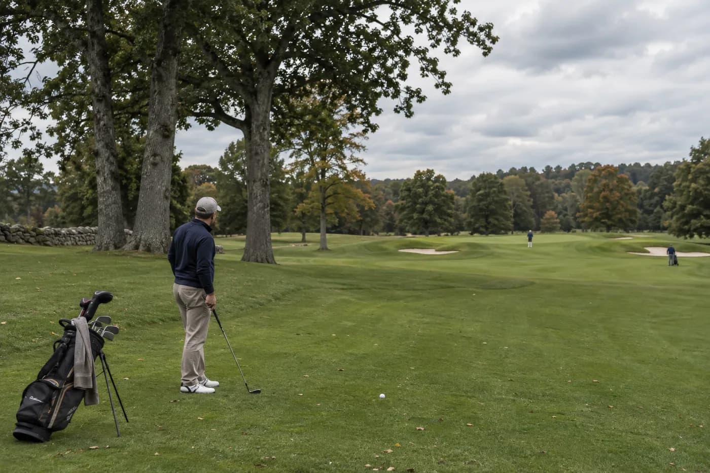 a golfer checking a broad approach beside tall oak trees